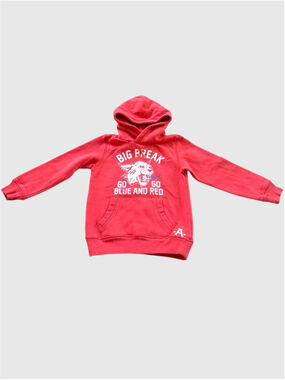 H&M Boy’s Graphic Fleece Hoodie Size US 4-6Y